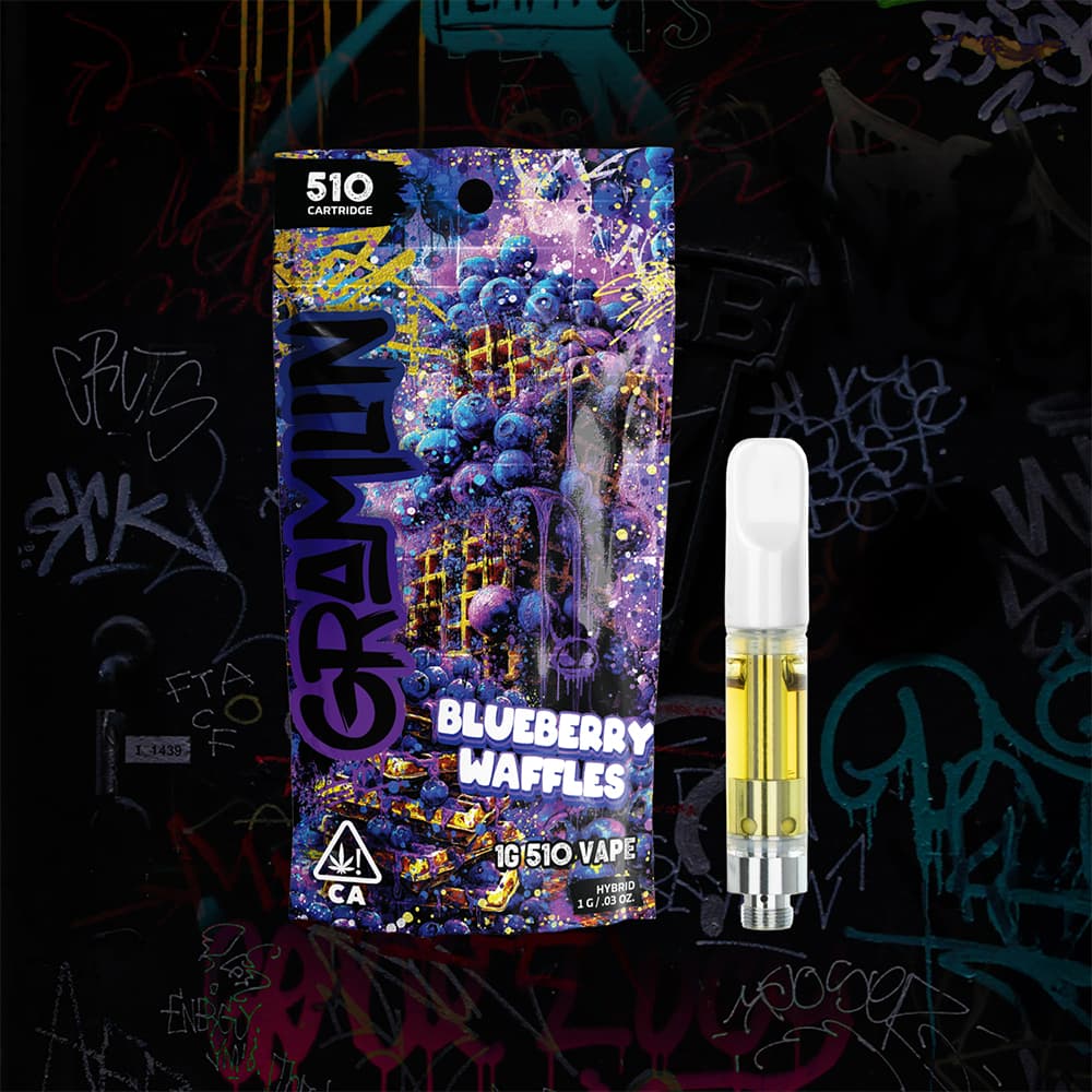 Blueberry Waffles 510