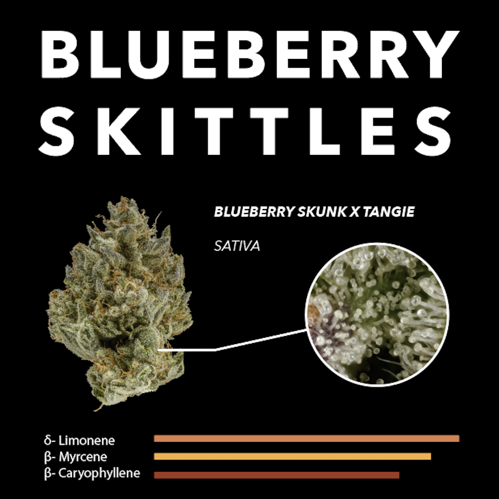 Blueberry Skittles
